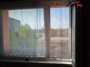 Prodej bytu 1+1, Vamberk, Struha, 34 m2