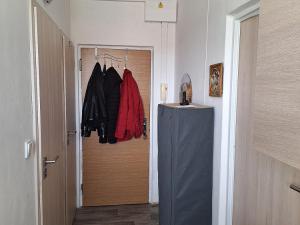 Prodej bytu 1+1, Vamberk, Struha, 34 m2
