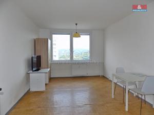 Pronájem bytu 1+kk, Ústí nad Labem - Krásné Březno, Rozcestí, 26 m2