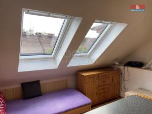 Pronájem bytu 2+kk, Plzeň - Jižní Předměstí, Mánesova, 29 m2