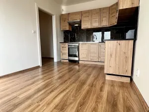 Pronájem bytu 3+1, Ostrava, Příbramská, 90 m2