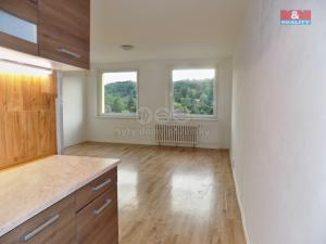 Pronájem bytu 1+kk, Ústí nad Labem - Krásné Březno, V Oblouku, 31 m2