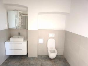 Pronájem bytu 2+kk, Plzeň, Lochotínská, 72 m2