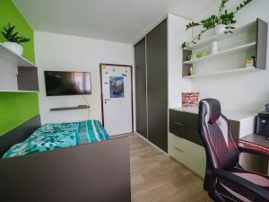 Prodej bytu 3+1, Liberec, Burianova, 81 m2