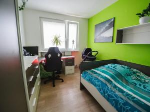 Prodej bytu 3+1, Liberec, Burianova, 81 m2