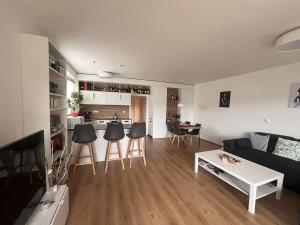 Pronájem bytu 4+kk, Liberec, Boženy Němcové, 98 m2