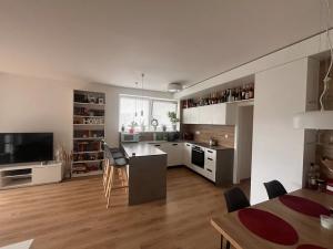 Pronájem bytu 4+kk, Liberec, Boženy Němcové, 98 m2