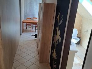 Pronájem bytu 2+1, Jámy, 46 m2