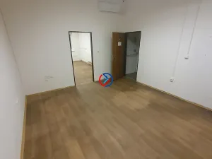 Pronájem výrobních prostor, Horka nad Moravou, 3665 m2