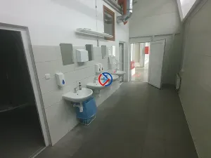 Pronájem výrobních prostor, Horka nad Moravou, 3665 m2