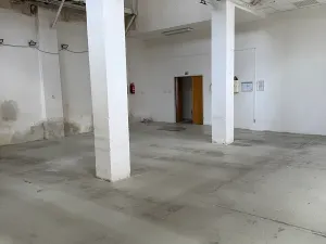 Pronájem skladu, Praha - Holešovice, U průhonu, 361 m2