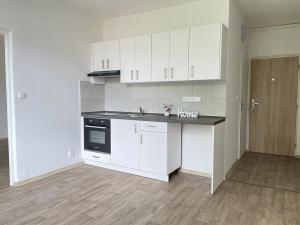 Pronájem bytu 1+1, Litvínov, Školní, 35 m2
