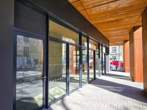 Pronájem bytu 2+kk, Praha - Nusle, Muzikova, 48 m2