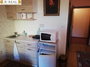 Pronájem bytu 1+kk, Brno, Pražská, 23 m2