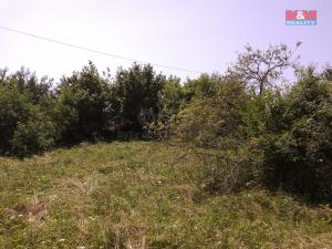 Prodej pozemku pro bydlení, Horka I - Svobodná Ves, 3077 m2