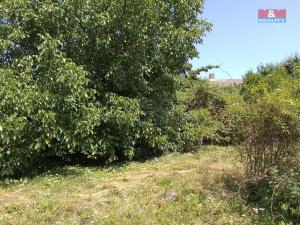 Prodej pozemku pro bydlení, Horka I - Svobodná Ves, 3077 m2
