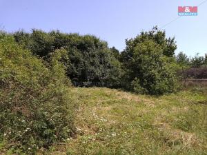 Prodej pozemku pro bydlení, Horka I - Svobodná Ves, 3077 m2