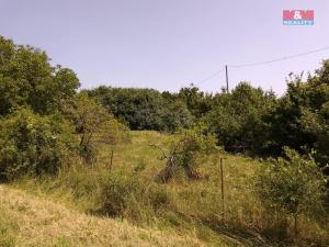 Prodej pozemku pro bydlení, Horka I - Svobodná Ves, 3077 m2