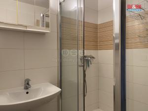 Pronájem atypického bytu, Praha, Zborovská, 114 m2