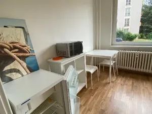 Pronájem bytu 1+1, Praha - Žižkov, Pod lipami, 38 m2
