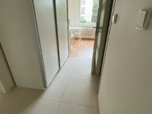 Pronájem bytu 1+1, Praha - Žižkov, Pod lipami, 38 m2
