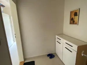 Pronájem bytu 1+1, Praha - Žižkov, Pod lipami, 38 m2