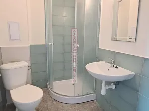 Pronájem bytu 1+1, Ostrava, Palackého, 40 m2