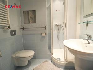 Pronájem bytu 1+kk, Praha - Záběhlice, Mattioliho, 30 m2