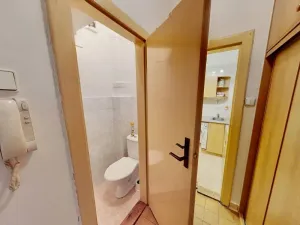 Pronájem bytu 1+kk, Praha - Střešovice, Na Petynce, 26 m2