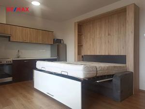 Pronájem bytu 1+kk, Praha - Malešice, Nad úžlabinou, 34 m2