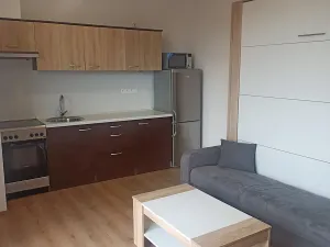 Pronájem bytu 1+kk, Praha - Malešice, Nad úžlabinou, 34 m2