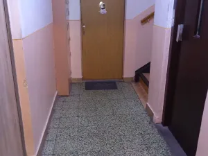 Prodej bytu 1+kk, Litvínov, Mostecká, 24 m2