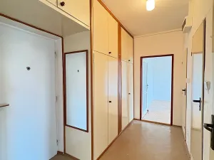 Prodej bytu 2+1, Praha - Žižkov, K lučinám, 51 m2