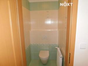 Pronájem bytu 1+kk, Černý Důl, 42 m2
