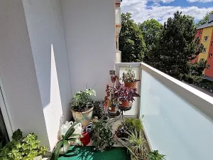 Pronájem bytu 2+1, Ostrava, 55 m2