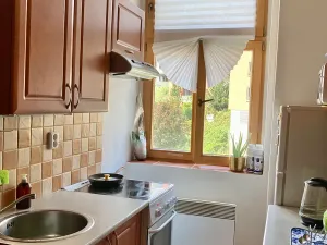 Pronájem bytu 1+1, Praha - Košíře, Vrchlického, 30 m2