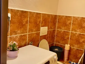 Pronájem bytu 1+1, Praha - Košíře, Vrchlického, 30 m2