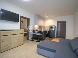 Pronájem bytu 2+kk, Praha - Žižkov, Olšanská, 52 m2
