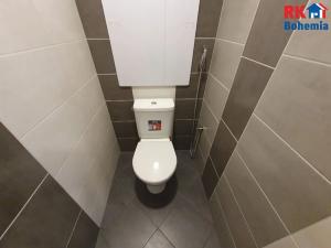 Pronájem bytu 1+1, Mladá Boleslav, Jana Palacha, 40 m2