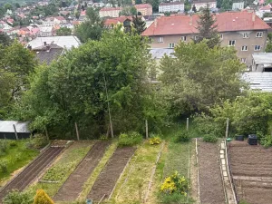 Pronájem bytu 2+1, Ledeč nad Sázavou, Hlaváčova, 63 m2