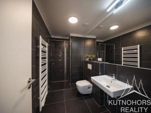 Pronájem bytu 1+kk, Kutná Hora, Hloušecká, 23 m2
