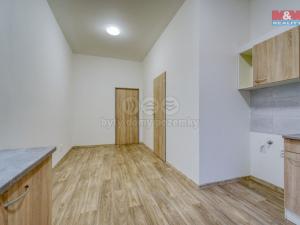 Pronájem bytu 2+kk, Plzeň - Jižní Předměstí, Havlíčkova, 43 m2