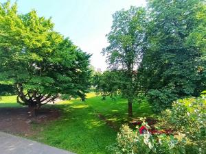 Pronájem bytu 3+1, Ostrava, Průkopnická, 58 m2