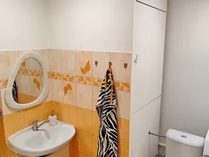 Prodej bytu 2+1, Přerov, Kozlovská, 46 m2