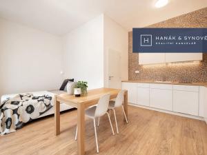 Pronájem bytu 1+kk, Brno, Francouzská, 26 m2