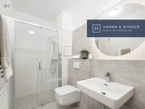 Pronájem bytu 1+kk, Brno, Francouzská, 26 m2