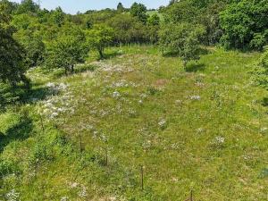 Prodej komerčního pozemku, Praha - Dolní Chabry, 10599 m2