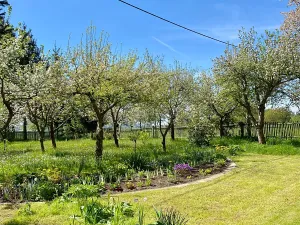 Prodej chalupy, Jablonné v Podještědí, 227 m2