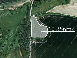 Prodej podílu lesa, Krchleby, 414 m2