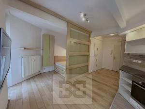 Pronájem bytu 1+kk, Praha - Holešovice, U smaltovny, 28 m2